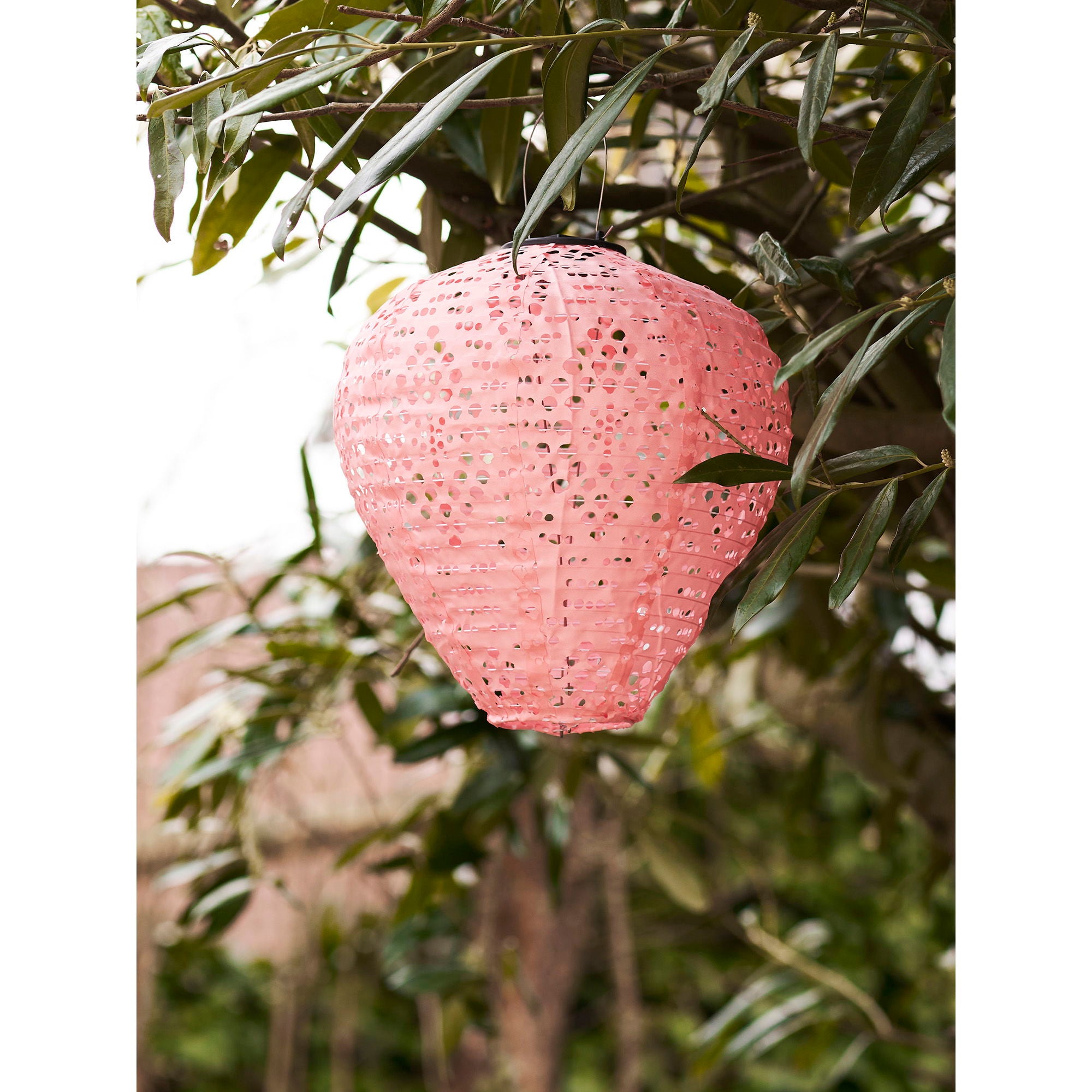 Greatham – LED Laterne, rosé, aufladbar